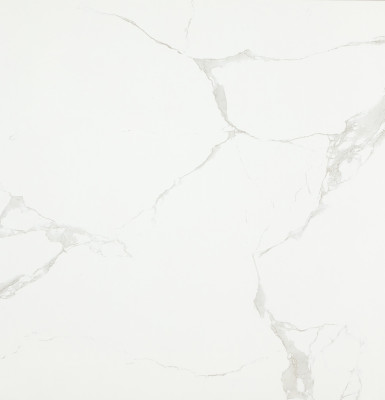 Керамогранит AtlantCeramics AFT99125 (80x80)