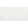 Керамогранит AtlantCeramics MT12602 (120x60)